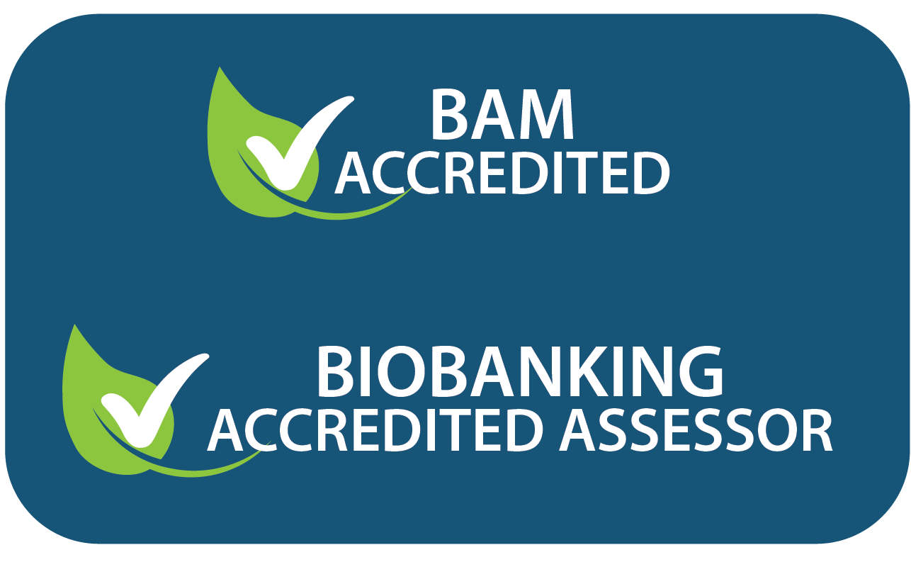 biobanking and bam-03